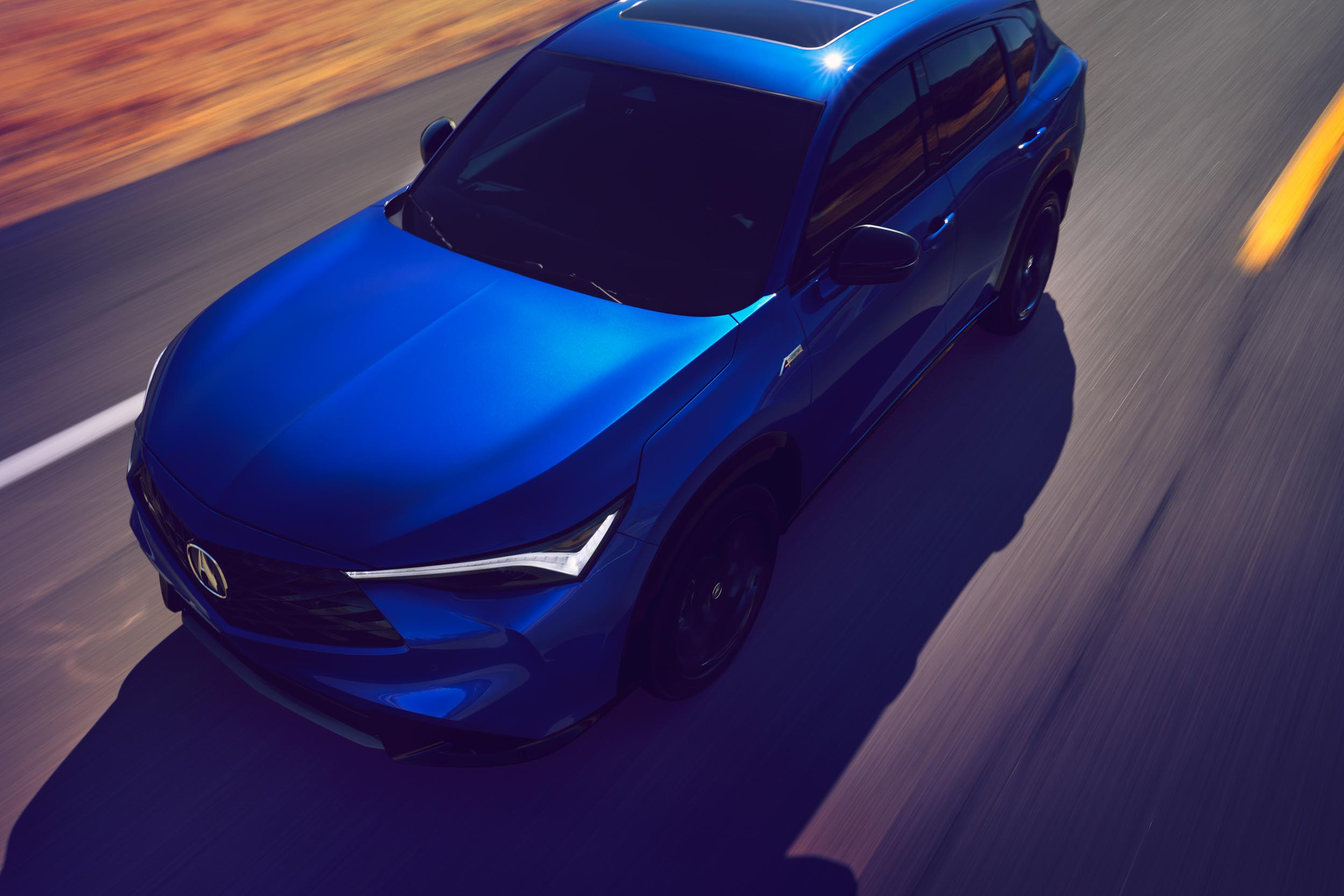 AgnieszkaDoroszewicz_ACURA_web_-15