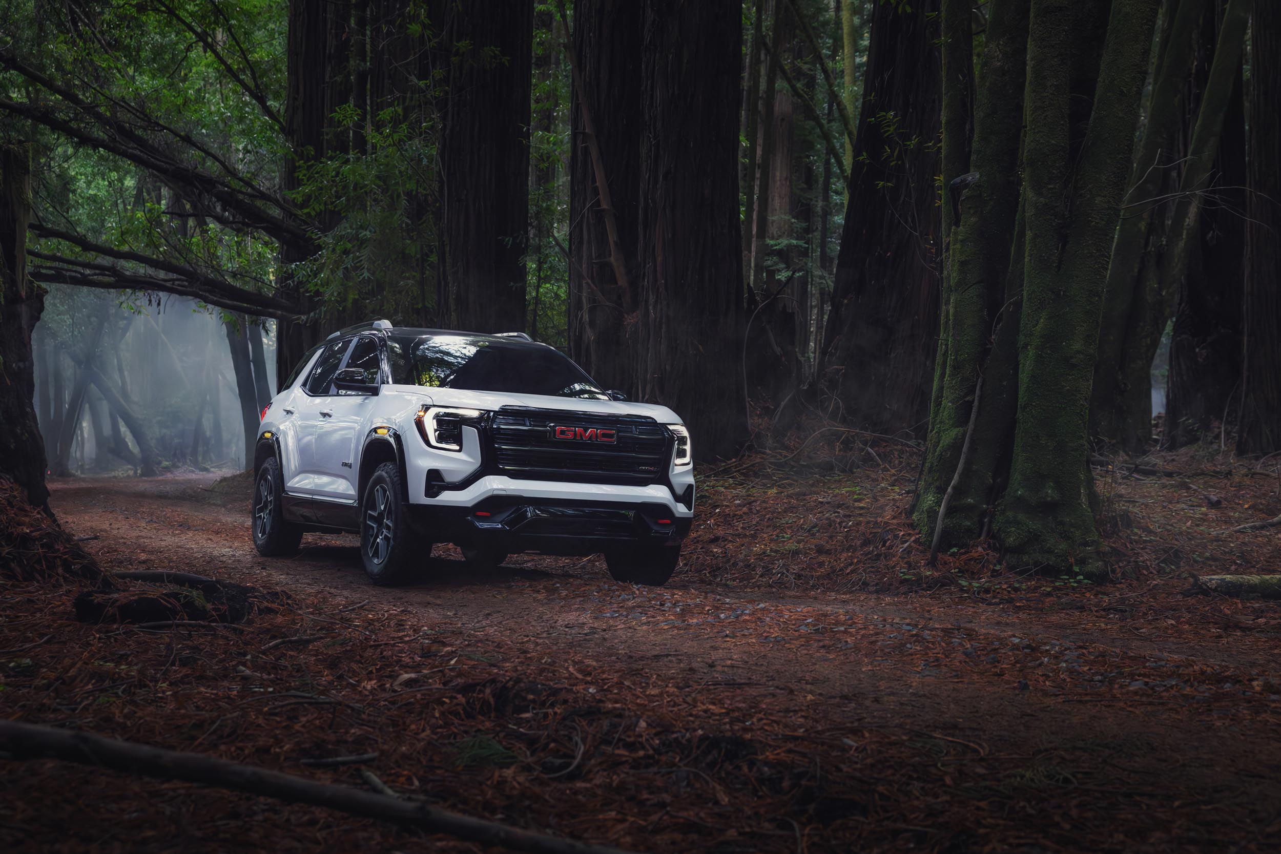 DavidGuenther_GMCterrain_web_-19